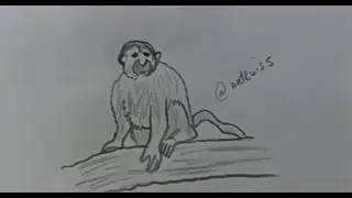 comment dessiner une guenon