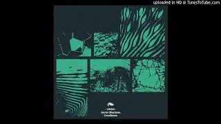 Javier Marimon - Illusions
