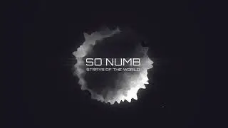 Strays of the World - So Numb (Lyric Video)
