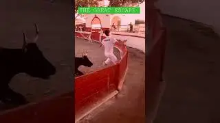 The Grat Escape #shorts #bull #jump #escape #unbelievable #wow
