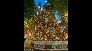 Christmas Tree At Martin Place Sydney 2018
