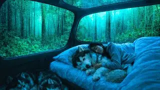 Rain on the Window 🌧️ Cozy Sleep with Calming Night Sound