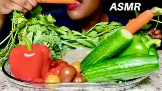 ASMR -Veggie Platter Mukbang- EXTREME Crunchy Eating Sounds - No Talking