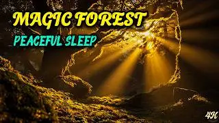 LIVE Forest Sunset Ambience 🌿 Birds Singing, Rustling Leaves & Crickets for Sleep