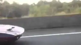 Pantera on freeway 2