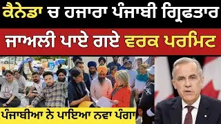 ਕੈਨੇਡਾ ਚ ਲੱਖਾ ਪੰਜਾਬੀ ਮੁੰਡੇ ਕੁੜੀਆ ਹੋਣਗੇ ਡਿਪੋਰਟ | Canada Lmia work permit visa 2026 | Dollar Media 