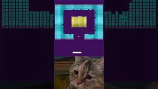 This is OCD cat 😹, he is hate brick, and he will clean all screen phone 😻🫶#chipichipi