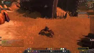 WOW Circle 8.3.7 BFA!