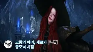 [로아] 세르카 노말 | 충모닉