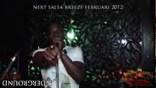 Salsa breeze te Best 6 nov 2011 Highlights