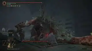 ELDEN RING_Boss 111 Putrid Tree Spirit