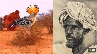 ismaaciil mire iyo Gabaygii Guuguulaha