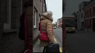 Zo reis je met De Lijn en een vouwfiets