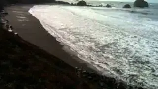 Crescent City Tsunami, 2011