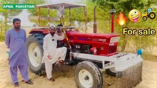 فیٹ640تھل کاشہزادہ سُتھرا ٹریکٹرفارسیل ہے،تھل کےسستےرقبے۔قیمت اورحقیقت جانئے۔دلچسپ معلوماتی ویڈیو