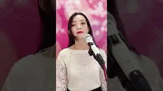 恰似你的溫柔-盧彤恩《直播主宅錄翻唱》貝兒樂團/高雄主持人/浪live直播1603900/婚禮樂團