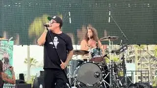 Tomorrows Bad Seeds - Love Street (LIVE 4K) | BeachLife Festival, Redondo Beach - May 3, 2025