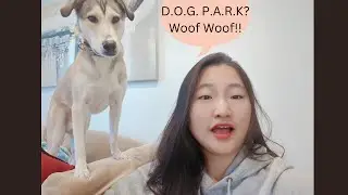 Dog Parks in Toronto!! Woof 🐕🐶! Please!