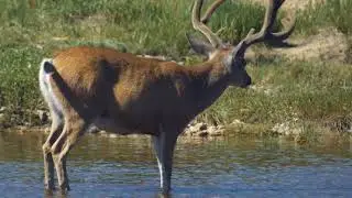 Santa Cruz River Heritage Project