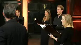 Miserere Mihi, Domine