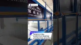 Malaysia Customer Case: 5 ton dairy output upgraded to 50 tons block ice machine.
