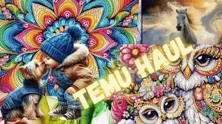 Diamond Painting Temu Haul