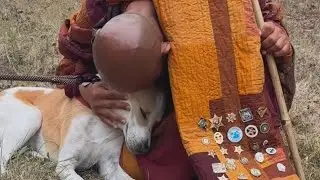 This Dog Understands the assignment❤️🐶