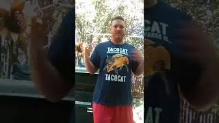 Tacocat spelled backwards is Tacocat!