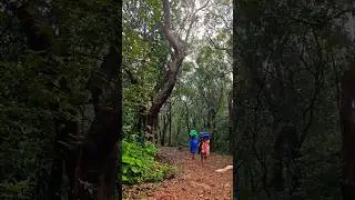 Matheran macro phototherapy  | Telugu photography vlogs  | view finder snap