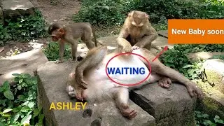 Mama Ashley got a good comfort and stay waiting new born