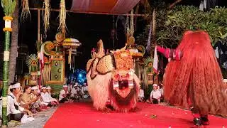 Onying ganas sampe pingsan calonarang singapadu #calonarang #onying