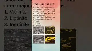 Macerals of Coal #geology