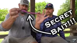 Анонс турнира Lake Fork Bassmaster: секретная наживка, о которой не знает большинство профессионалов &mdash; большой пластиковый червь!