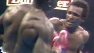 ON THIS DAY, WOW! SUGAR RAY LEONARD WITH A SPECTACULAR KNOCKOUT OVER AYUB KALULE (HIGHLIGHTS) 🥊