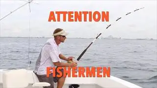 Rechargeable Twitching Lure