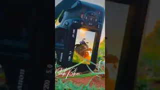 kTm RC 390 Full screen WhatsApp status ।। WhatsApp status Black Bikers Mihir Lyrics #blackbikers