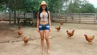 Mulher Bonita Esperando no Fogão (Pagode Caipira Raiz)
