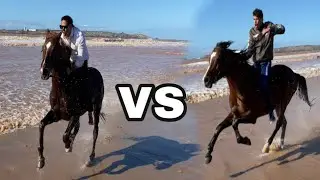 تحدي انا و أدم بالخيل مغامرة واعرة...😱 Sfeda con adem su cavallo 🐎