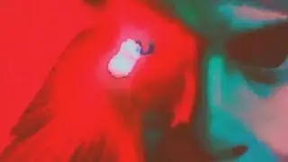 Rvmbokash - Alarm [Prod SwxffT]