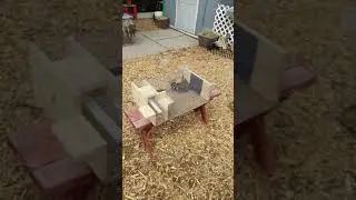 Self Repeating Sparrow Trap - Day 1 Review