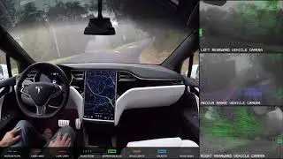 2018 Tesla model S Autopilot Full Self Driving Hardware - Neighborhood Short