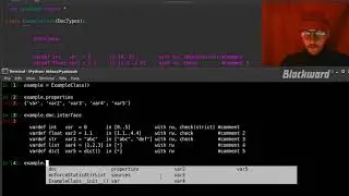 Automatic Runtime Type and Range Checking in Python -- Pyadaaah Part 1