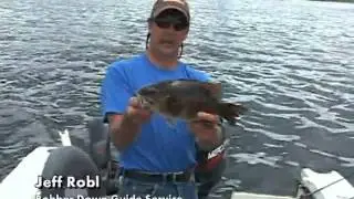 Bobber Down Guide Service - Turtle Flambeau Flowage - Mercer Wisconsin - Fishing Guide Service