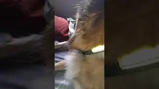 Nagpuyo na pod ang hadlokan og ulan