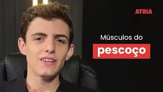 ANATOMIA DOS MÚSCULOS DO PESCOÇO: Domine de uma vez por todas essas estruturas