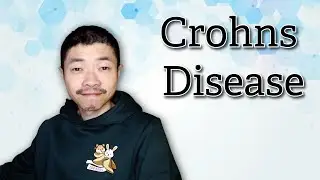 Healing My Gut