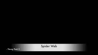 Spider web - Young Flash E