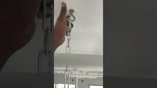 zoomer chain