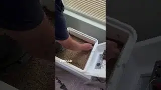 Hatching Turtle Eggs in a Chicken Incubator #turtle #wildlife #incubator #farmlife #homestead #eggs