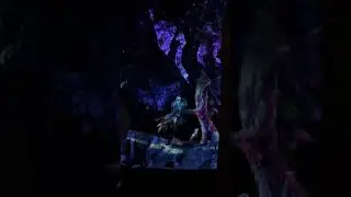 The Tree of Life Night time show